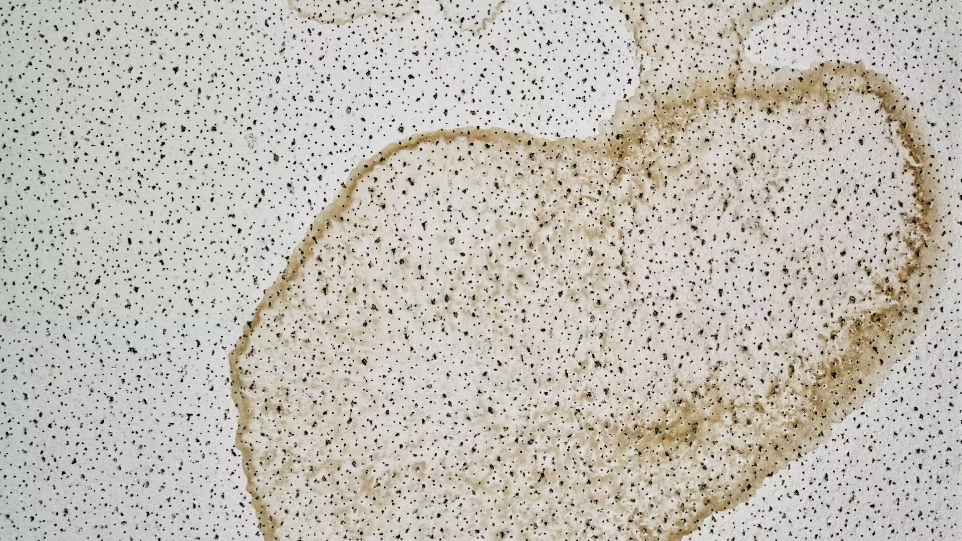Water stain on the ceiling of a commercial building