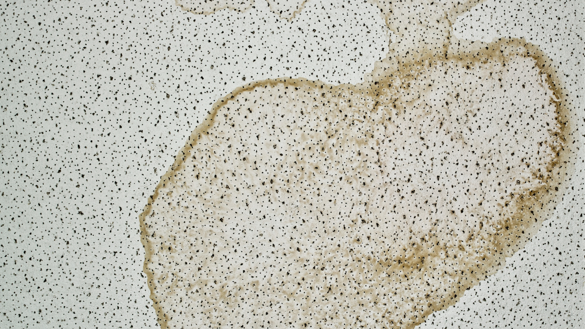 Water stain on the ceiling of a commercial building
