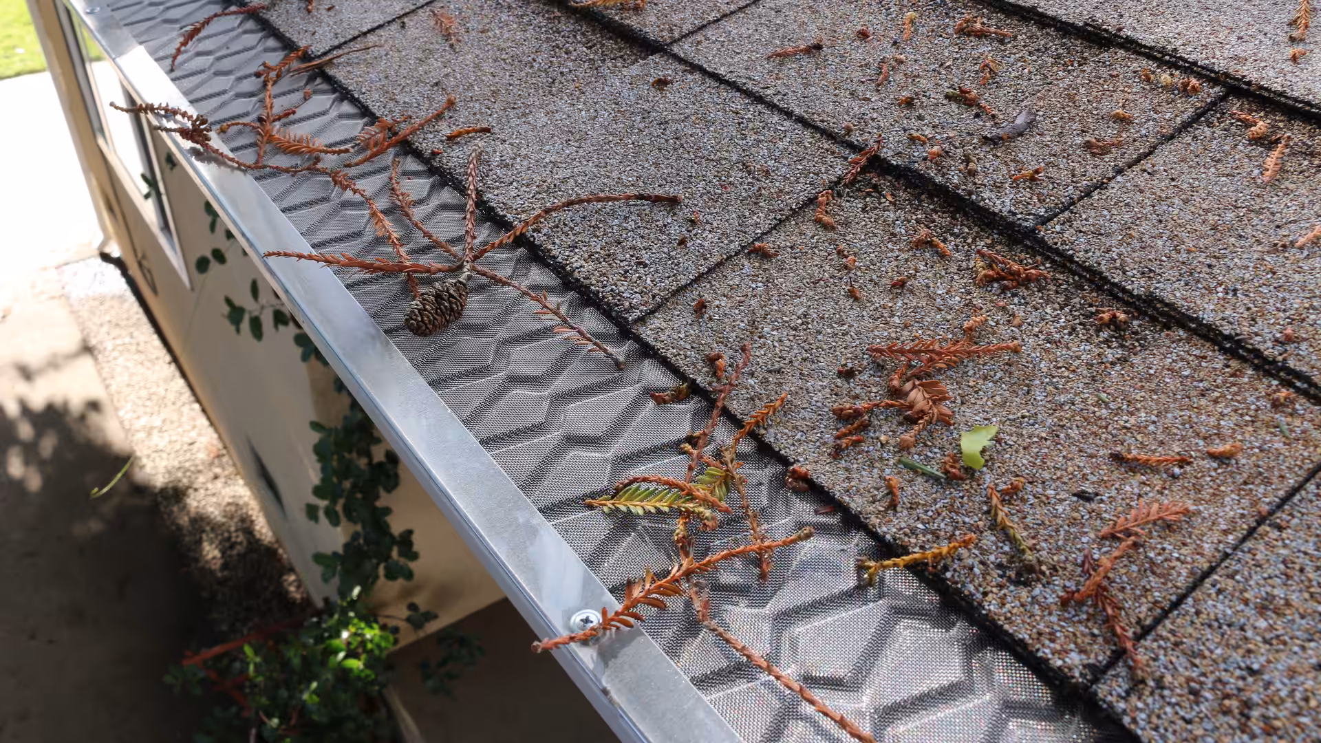 Pine needles and leaves sitting on top of an installed gutter guard