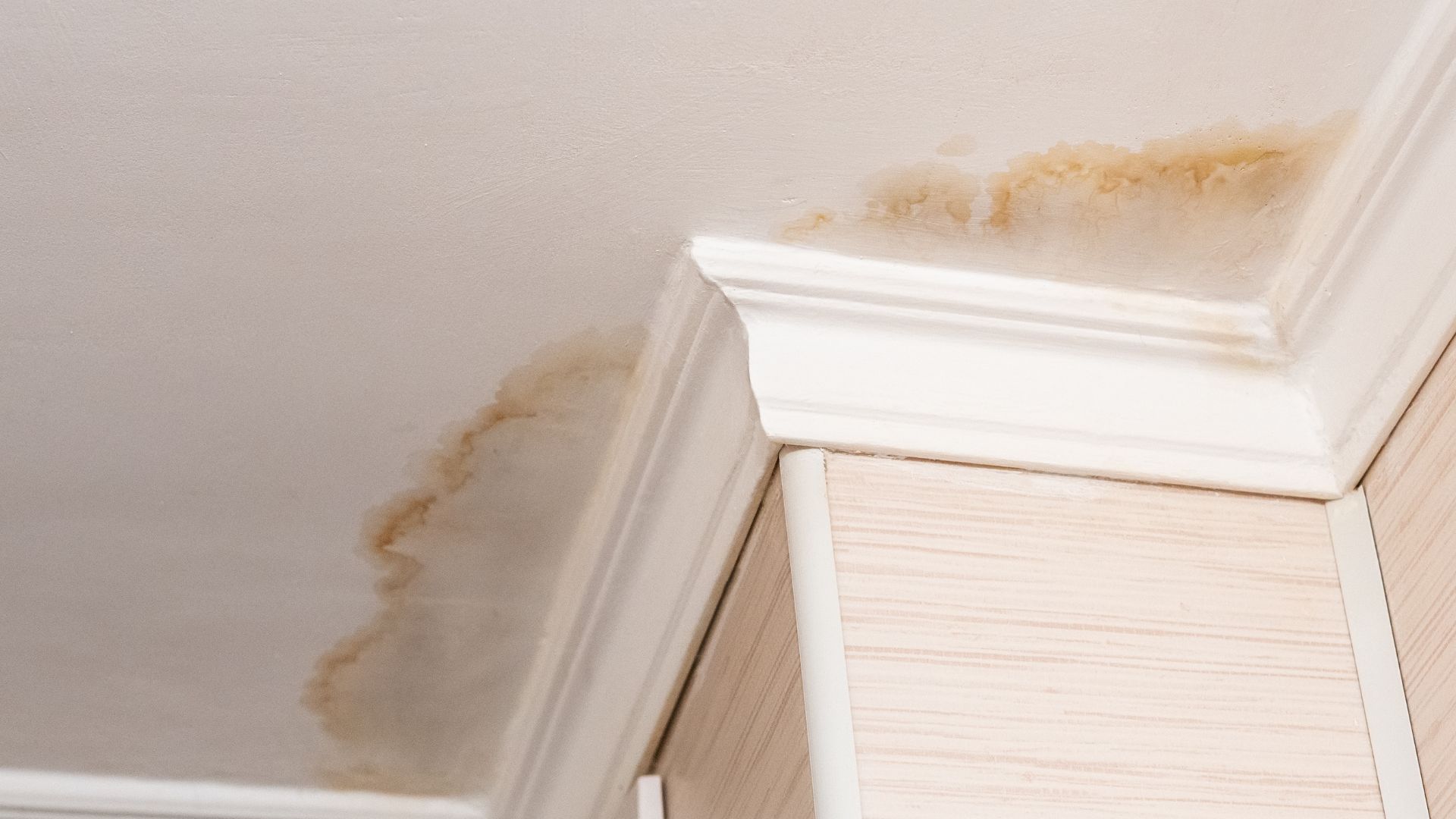 Water damage on ceiling. When a shingle is torn off, it exposes the underlayment and decking beneath it to direct water exposure.