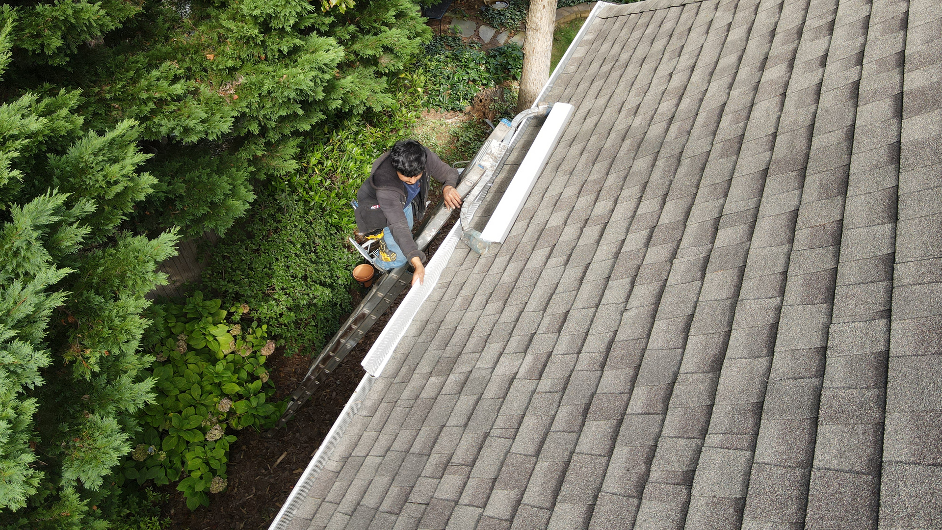 North Carolina home with heavy tree cover over the roofline and gutters
